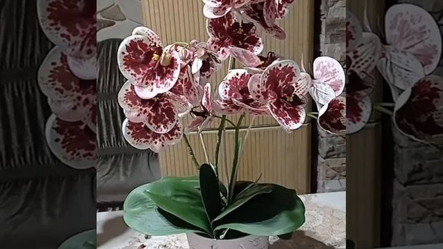 Грозном подарочные наборы цветов на заказ ±7 (938) 891 92-93.Мой Инстаграм podakizgrozny !!! смотреть онлайн