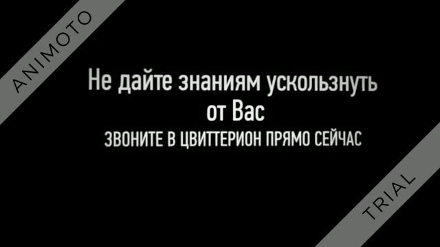 Курсы английского языка смотреть онлайн