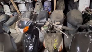 Какой скутер лучше купить в 2023 году