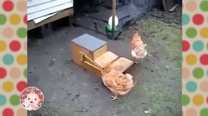 Рассмеши ребенка Выпуск № 6 | Funny videos for kids Part #6