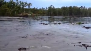 Непознанное и удивительное.