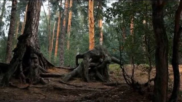 "Сомнение",  М.Глинка, Н.Кукольник, поет