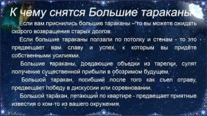 К чему снятся Большие тараканы – толкование сна по Соннику