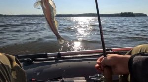 Ловля судака на Троллинг. Вышневолоцкое водохранилище. Выезд на отдых с друзьями. Чуть не потонули.