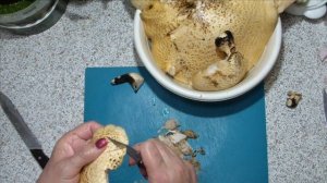 Трутовик чешуйчатый жареный с луком. Вкусные жареные, лесные грибы. Грибное меню на сковородке.