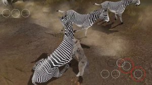 [Preview] Hang on to th an animals - Wolf Online 2