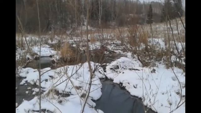 Двухдневный поход по снежной мокрой тайге. ночевка без костра смотреть онлайн
