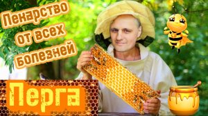 Ваше здоровье в одном продукте|Природное лекарство Перга|Пчелиный хлеб|