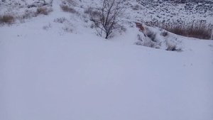 Соль-Илецк. Озеро Новое зимой в - 8