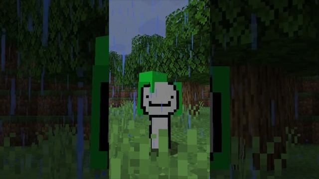 дрим удалил видео со своим лицом short #shorts #minecraft #дрим