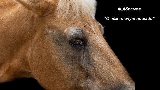 Ф. Абрамов "О чём плачут лошади" смотреть онлайн