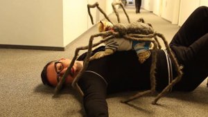 ПРАНК: Собака-паук в лифте + Прикол с квадрокоптером | Пошалим с Шалимовым