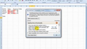 Excel 2010: Compatibility Checker