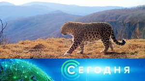 «Сегодня»: 11 ноября 2023 года. 10:00 | Выпуск новостей | Новости НТВ