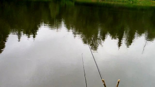 Утренний лов карасиков. смотреть онлайн