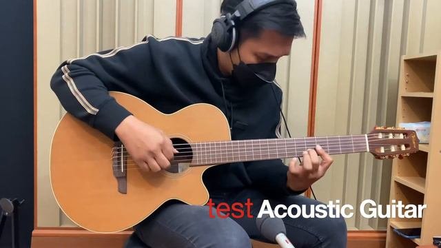 Takamine   NPT-110N