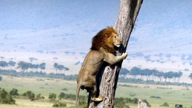 Корабль смотреть онлайн