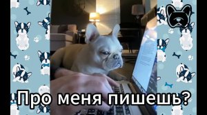 СМЕШНЫЕ французские бульдоги #45. Просто попробуй не рассмеяться