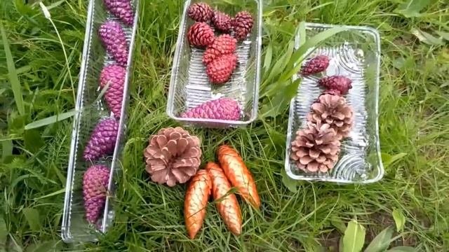 Красим шишки лаком для ногтей