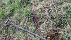 lv_0_20230429170410.mp4