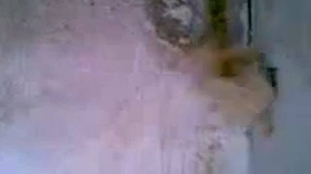 Видео в одну секунду! Шарик прыгает!