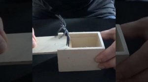 Коробка с пауком