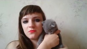 Особенности вислоухих котят