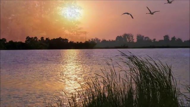 Новопокровская. НОСТАЛЬГИЯ. Автор клипа Татьяна Восковец смотреть онлайн