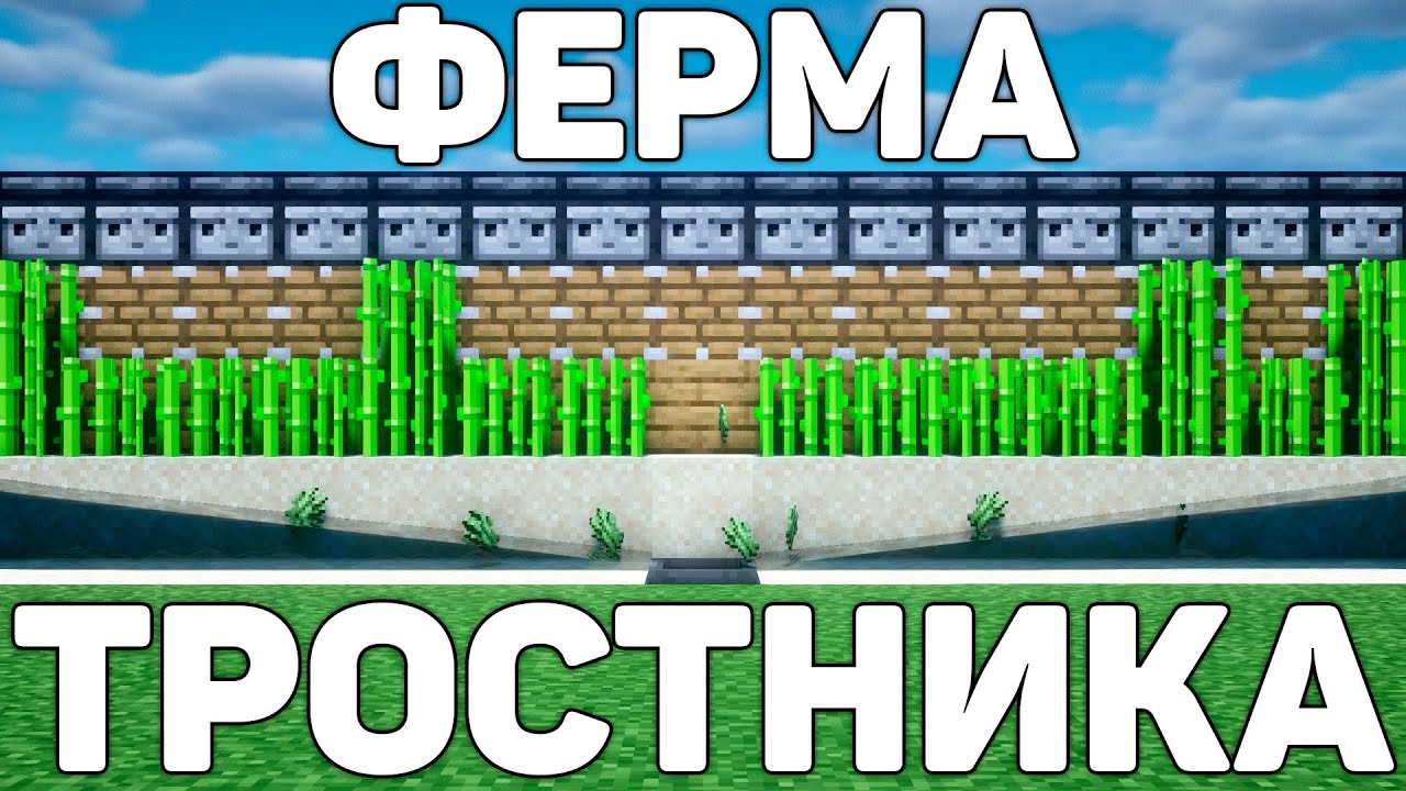 САМАЯ ЛУЧШАЯ АФК ФЕРМА ТРОСТНИКА В МАЙНКРАФТ!