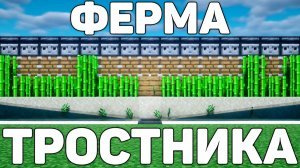 САМАЯ ЛУЧШАЯ АФК ФЕРМА ТРОСТНИКА В МАЙНКРАФТ!