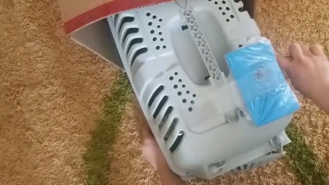 Подготовка к перевозке персидских кошек смотреть онлайн