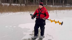 PAMASTYMAI APIE LEDO GRĄŽTĄ MORA ICE BEE 2023