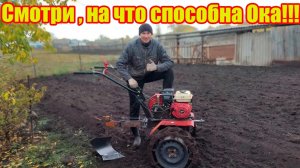 Это чудо? Нет это мотоблок Ока!!!