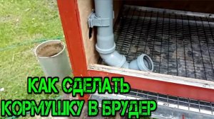 КАК СДЕЛАТЬ КОРМУШКУ В БРУДЕР