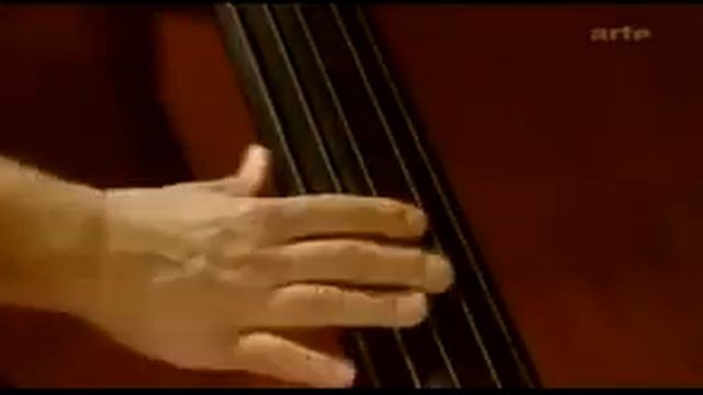 Заставка к Суть событий  DanubeDonau Romane