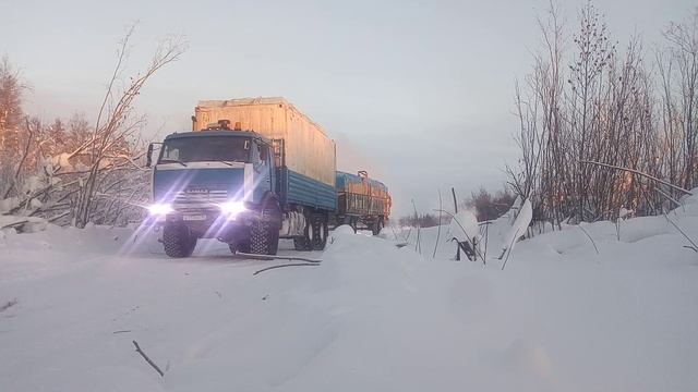 зимник