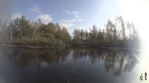 Рыбалка на щуку Синявинские карьеры . Поганые топи , рыбалка с лодки.