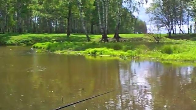 На рыбалке в Барыбино