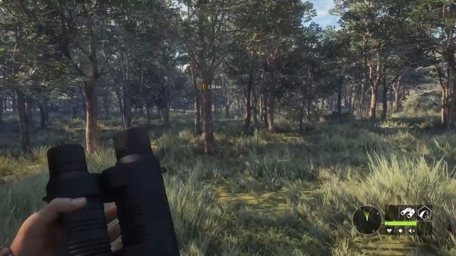 Best LOADOUT for Parque Fernando TheHunter Call of the Wild смотреть онлайн