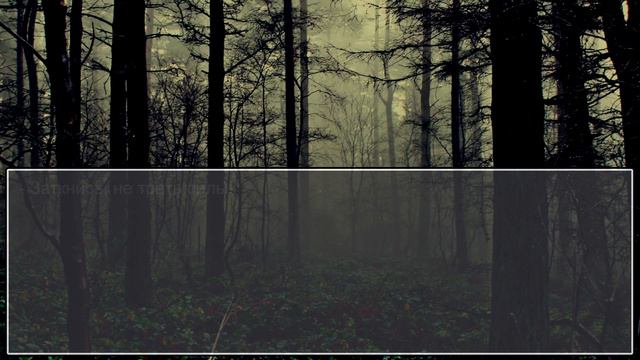 [18+] Сафари 1102 смотреть онлайн