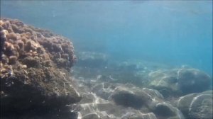 Snorkeling in Skafidia Greece May 2016