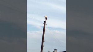 Малые Белевичи