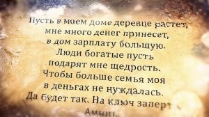 Заговор при посадке денежного дерева. Денежное дерево: ритуал при посадке Толстянки#Берегиня