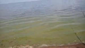 Спустился к воде за Новоульяновском