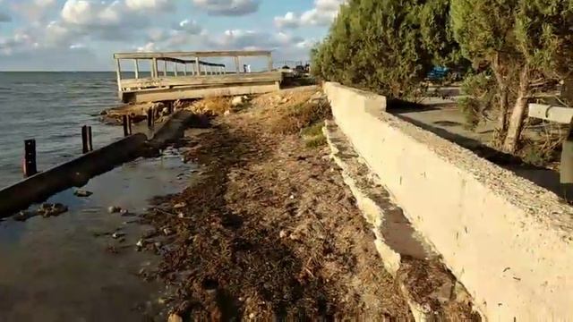 п-к Роман-Кош..Роман-Кош Демир Деня на море. сын РК Морриса и РК Евридики. 2 г.2020г