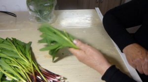 Все о черемше, как хранить, сушить и заготовить на зиму.