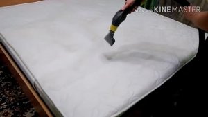 Химчистка матраса. Удаление пятен. Kärcher Puzzi 10/1, чистящие средства PROCHEM, GRASS.
