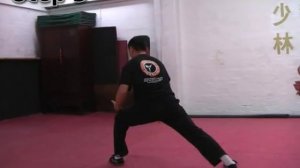 Shifu Heng Wei Tutorials - BajiQuan Part II Tutorial