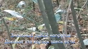 Проверка болота за озером Горбатым, на наличие рыбы/Рыбалка на поплавок/Орехово-Зуево