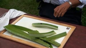 📹 Мексиканцы едят алоэ как огурцы, даже дети. Смотрите, как готовят алоэ